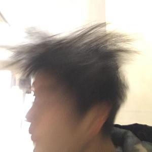 游走的猩猩猩头像