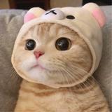 AKA清华落榜生头像