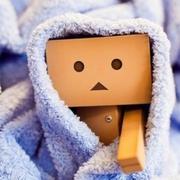 小象的个人资料头像