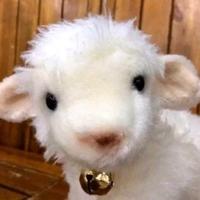 允浩就是我头像