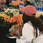 莓有烦恼的个人资料头像