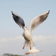 耐心的小子的个人资料头像