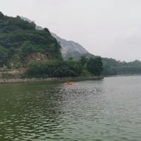 愿爱无忧qq74头像