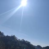 添筹码头像