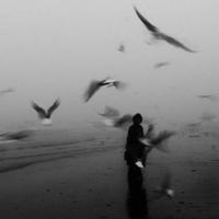 不减到一百四不改网名812头像