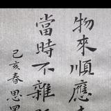 赛丽丝头像