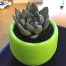 ampy同志的个人资料头像