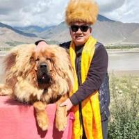 三哥的书画工作室头像