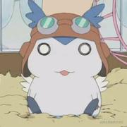 Theworstarmwrestli的个人资料头像