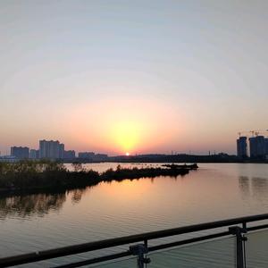 摘星辰给羊驼头像