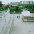 我是你的丹宝吖🌸头像
