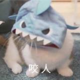 丶雅迪yyds头像