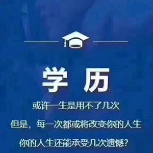 卜老师论文辅导头像