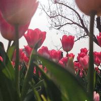 潇洒溪水5v头像