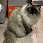 小玉儿70的个人资料头像