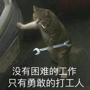 活泼王先生阿头像