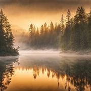 顾小龙43的个人资料头像