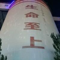 哥就不告诉你我是谁头像