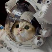 熬夜理事会会长的个人资料头像