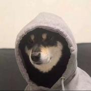 阿亻的个人资料头像