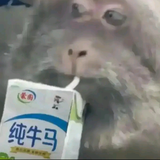 xfv587666yyds头像