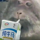 xfv587666yyds头像