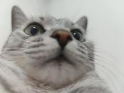 HuiZ2z的个人资料头像