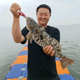 小王的海边生活头像