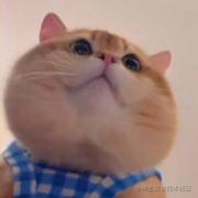 MayJan的个人资料头像