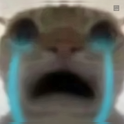 OH哈基米3的个人资料头像