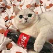 北海屿鹿海北屿鹿的个人资料头像