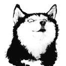 不想说话74094的个人资料头像