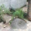 娱乐百分百147头像
