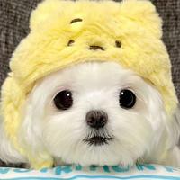 她执手放温柔头像
