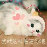 九夜幽冥272头像
