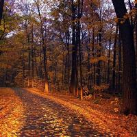 海阔天空9161526105106头像