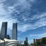 彭建淡泊明志头像