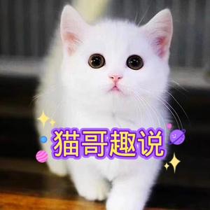 猫哥趣说头像