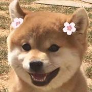 生蒜的个人资料头像