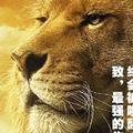 完美有多美老谭头像