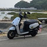 骑士看蜂鸟13121头像