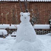 面向北方北风精神头像