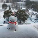 不搭就是我的个人资料头像