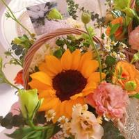 薄荷味儿77头像