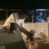 C度头像
