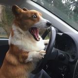 用户9181550233700头像