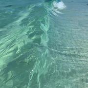 芳草地的个人资料头像