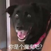 Object_assign的个人资料头像