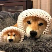 即将拥有人鱼线的x的个人资料头像