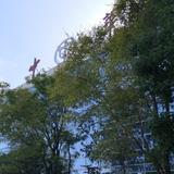 车约鉴头像
